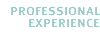 Professional Experience